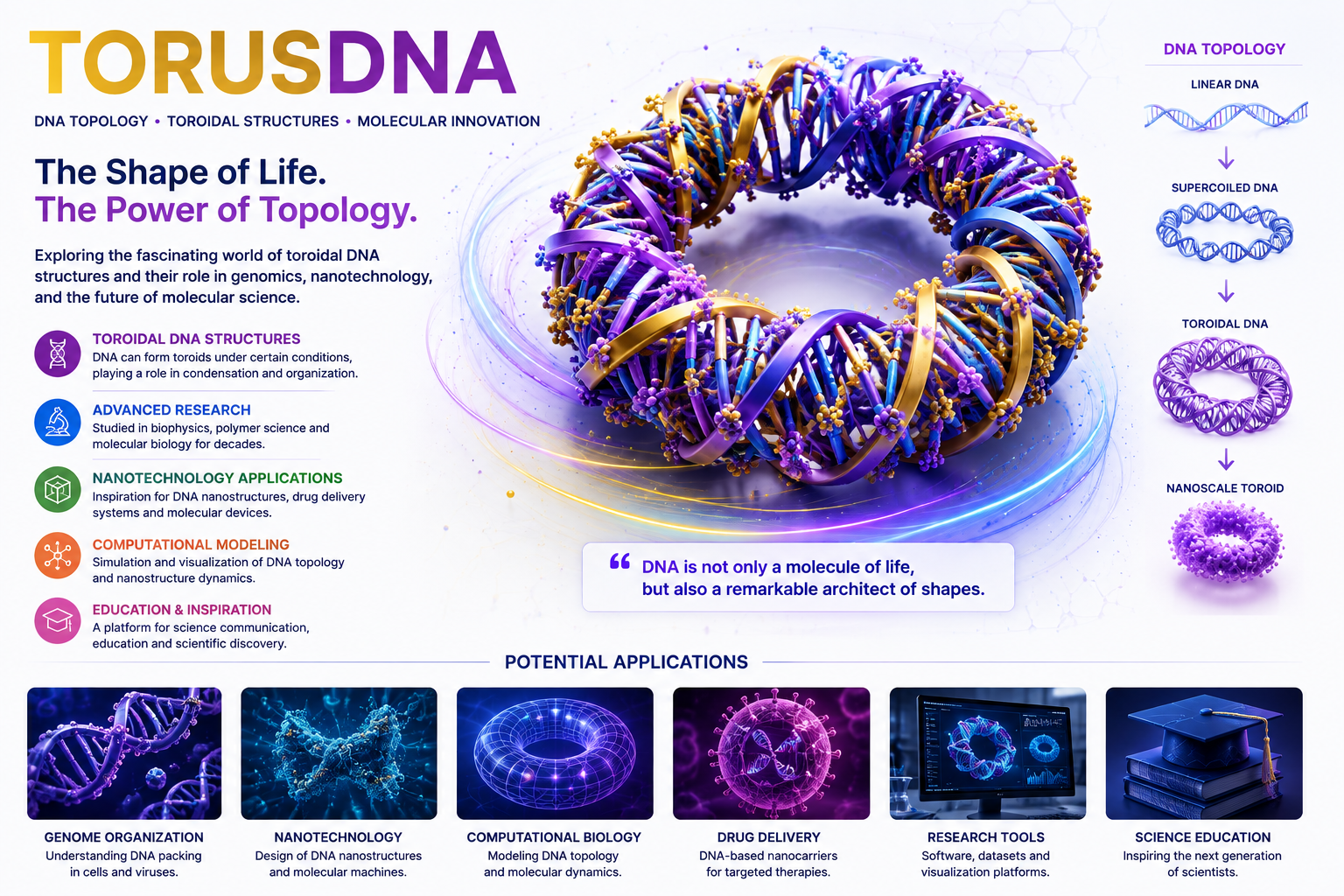 TORUSDNA.COM